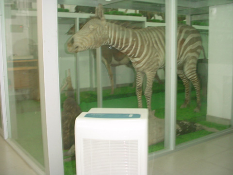 除濕機放在動物標(biāo)本陳列柜邊