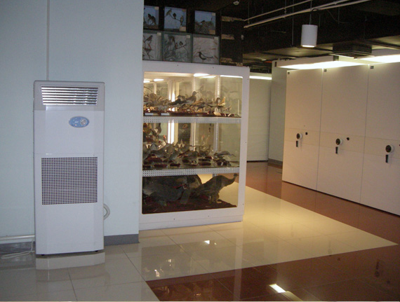 飛禽標(biāo)本柜旁的除濕機