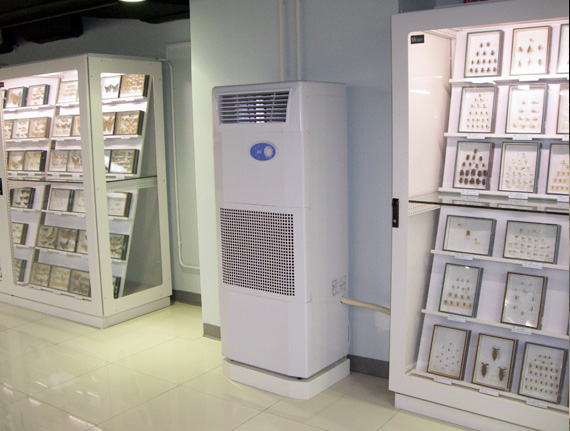 除濕機旁邊的昆蟲標(biāo)本架